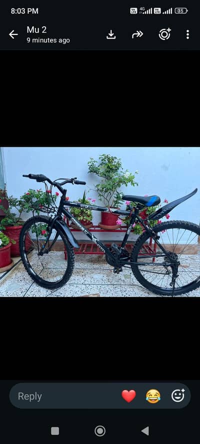 bicycle for sale