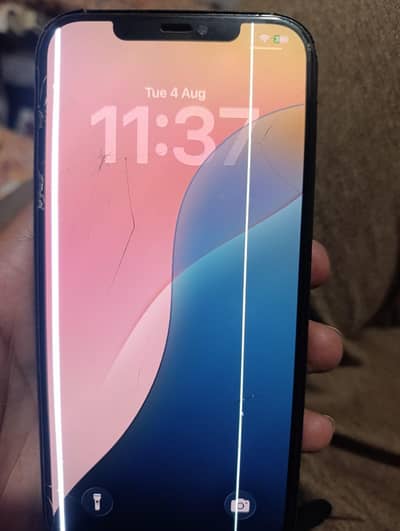 Apple iPhone 12 Pro Max