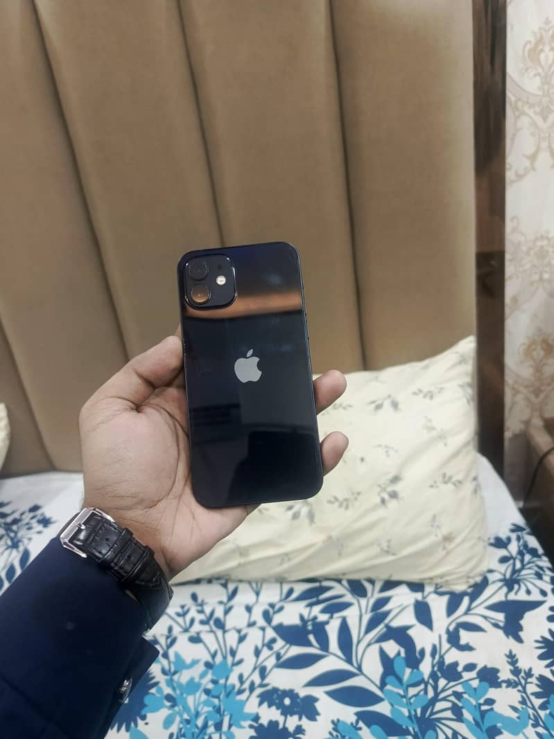 Apple iPhone 12 1