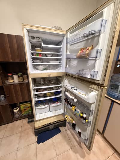 PEL Fridge For Sale