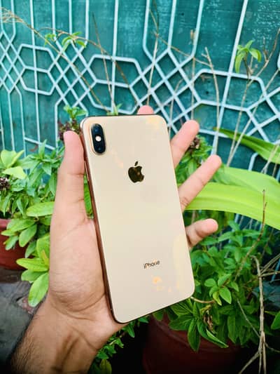 Apple iPhone XS Max