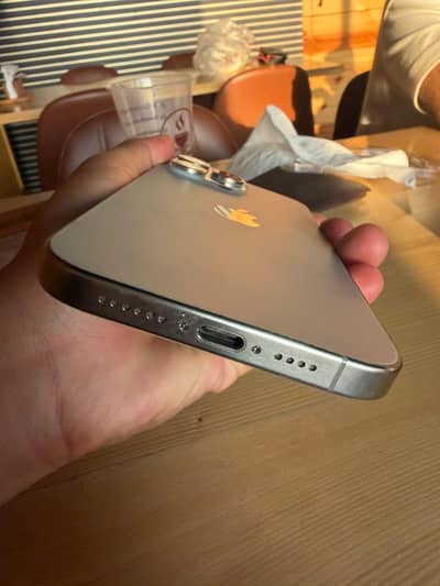 Apple iPhone 15 Pro Max 256 GB