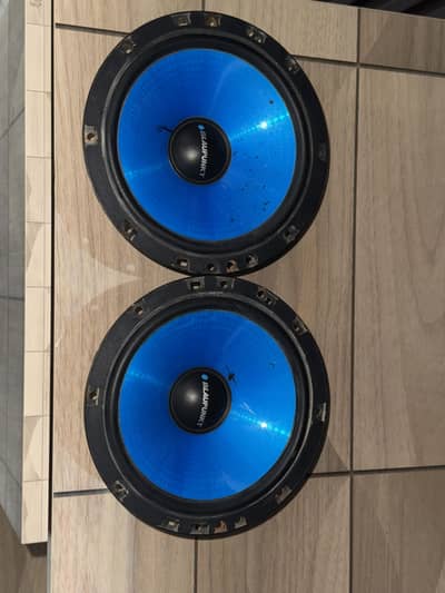 6.5inches Front door speakers.