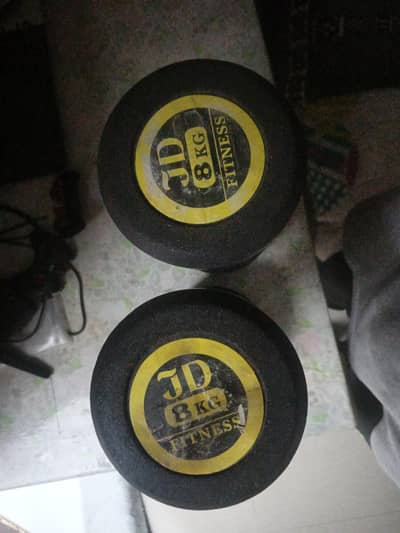 8 KG Dumbbells — Pair