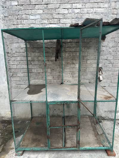 Cage 6 by3.5
