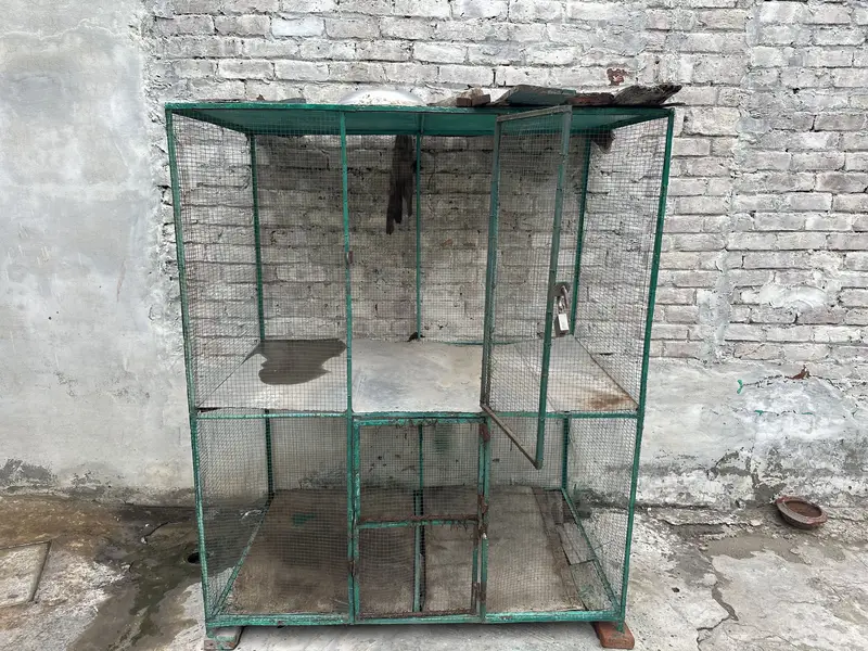 Cage 6 by3.5 — photo 2