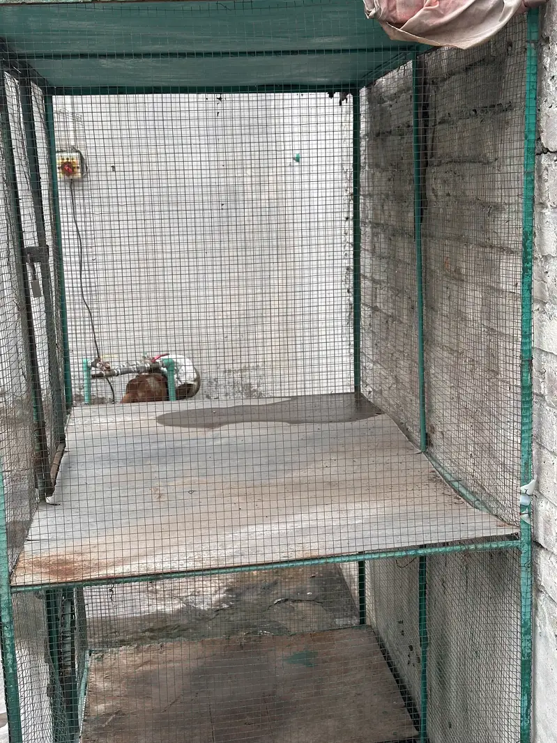 Cage 6 by3.5 — photo 6