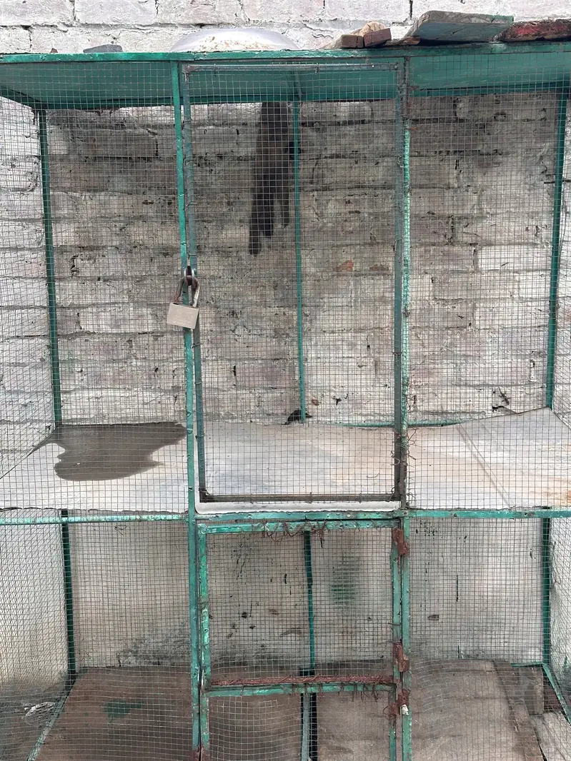 Cage 6 by3.5 — photo 8