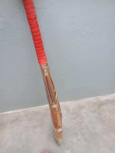 Hard Ball Bat