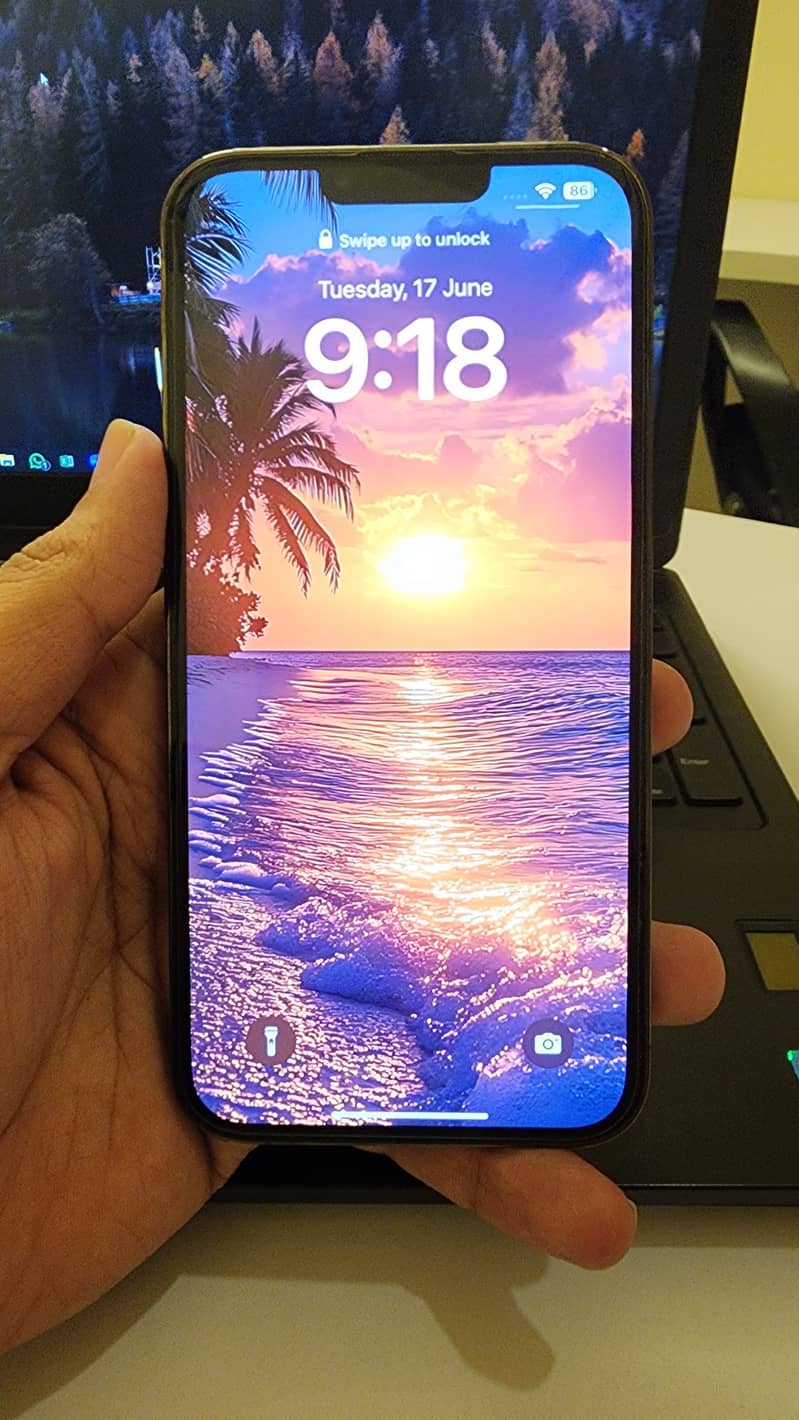 Apple iPhone 13 Pro Max 1