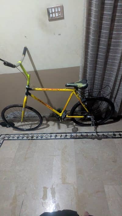 phoenix bicycle