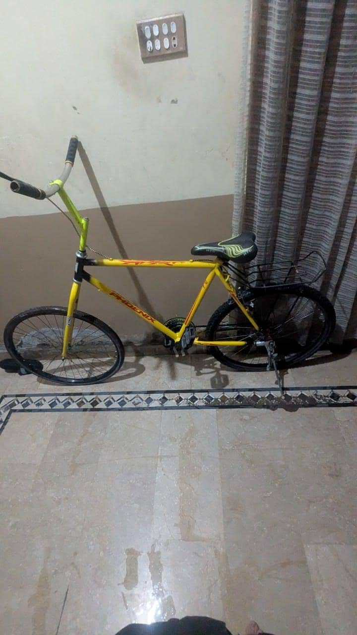 phoenix bicycle 0