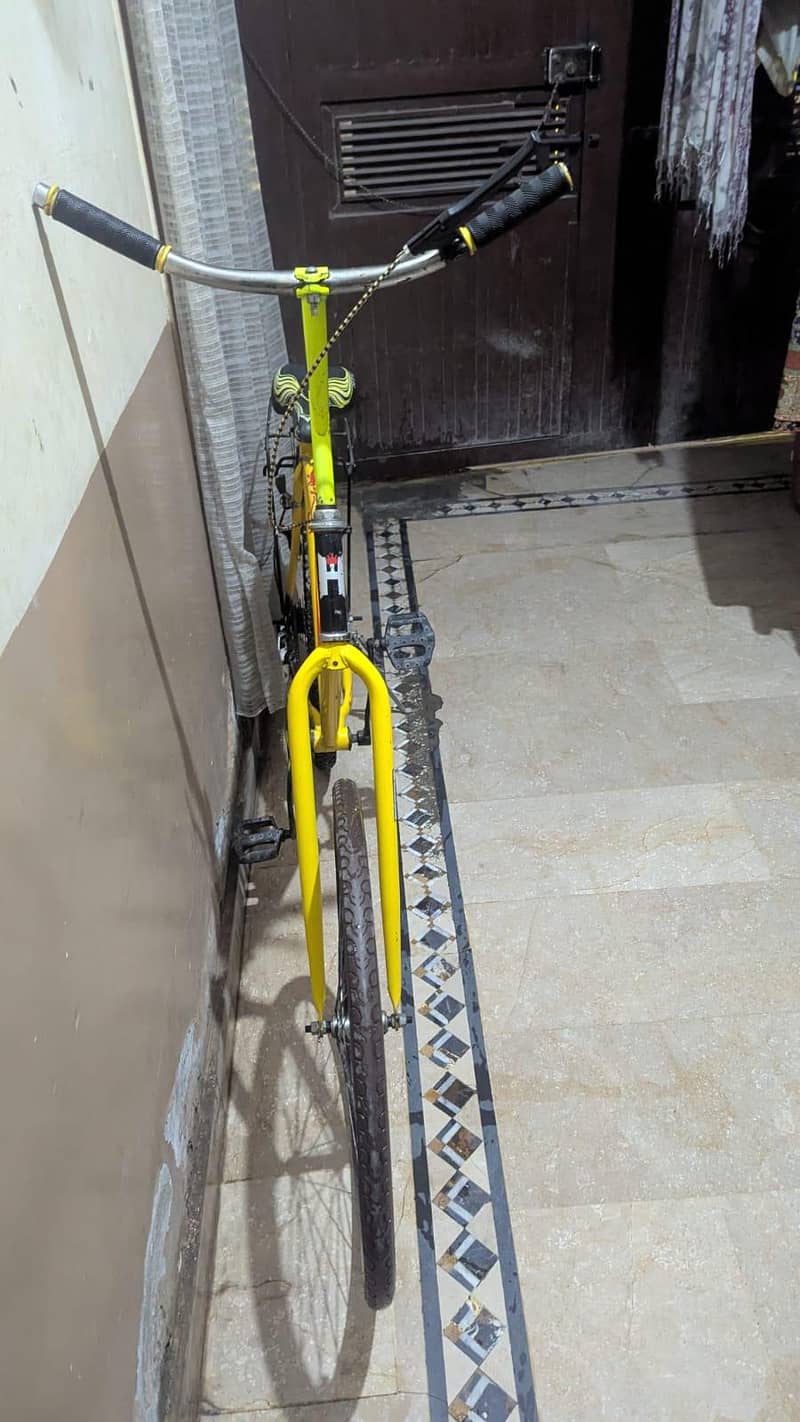 phoenix bicycle 1