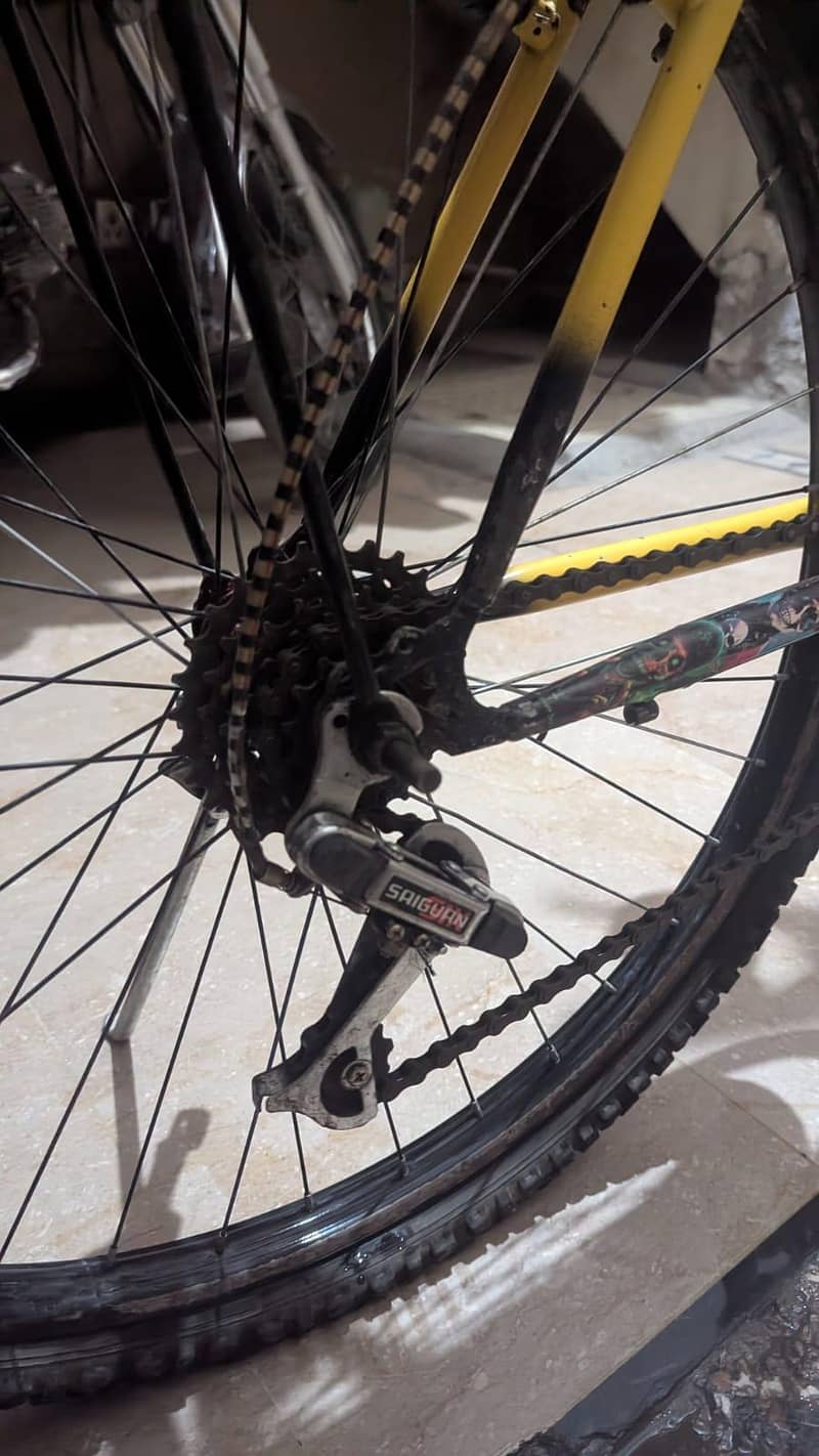 phoenix bicycle 3