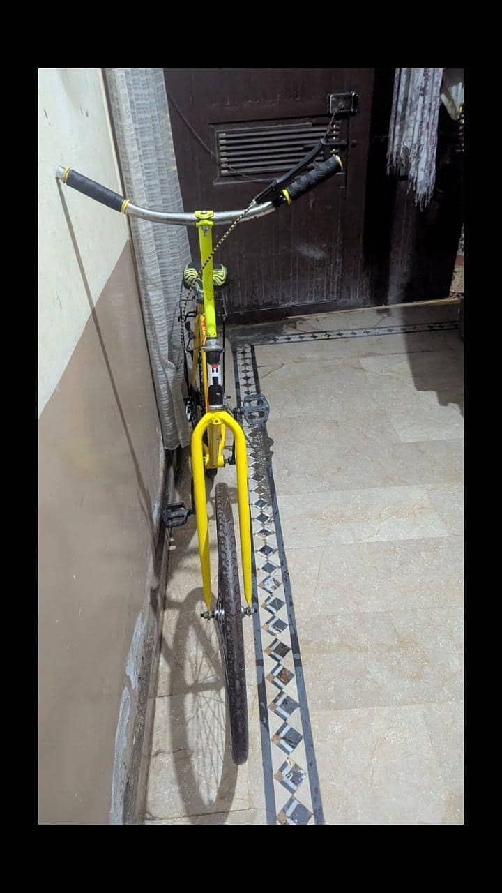 phoenix bicycle 4