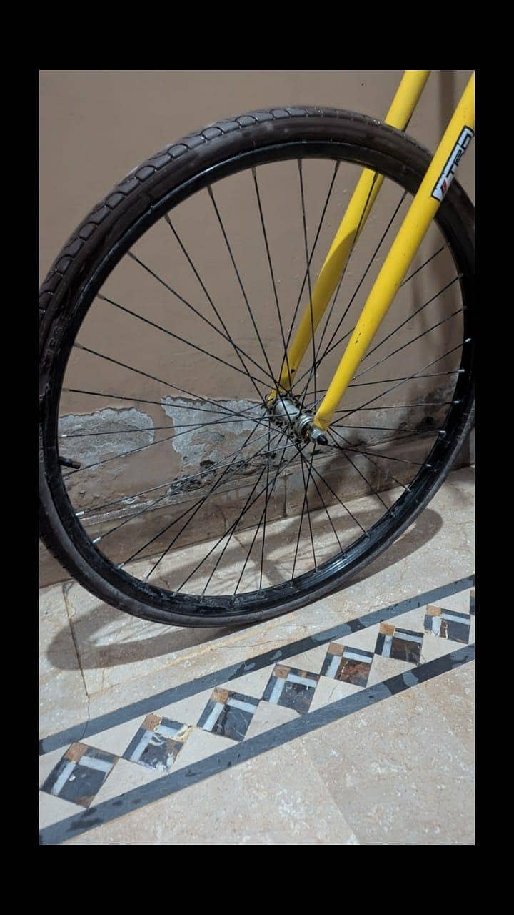 phoenix bicycle 5