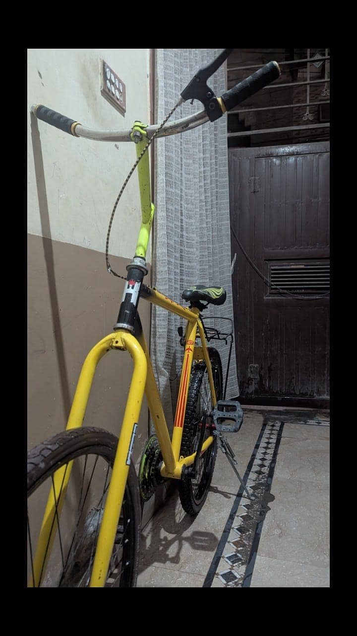 phoenix bicycle 6