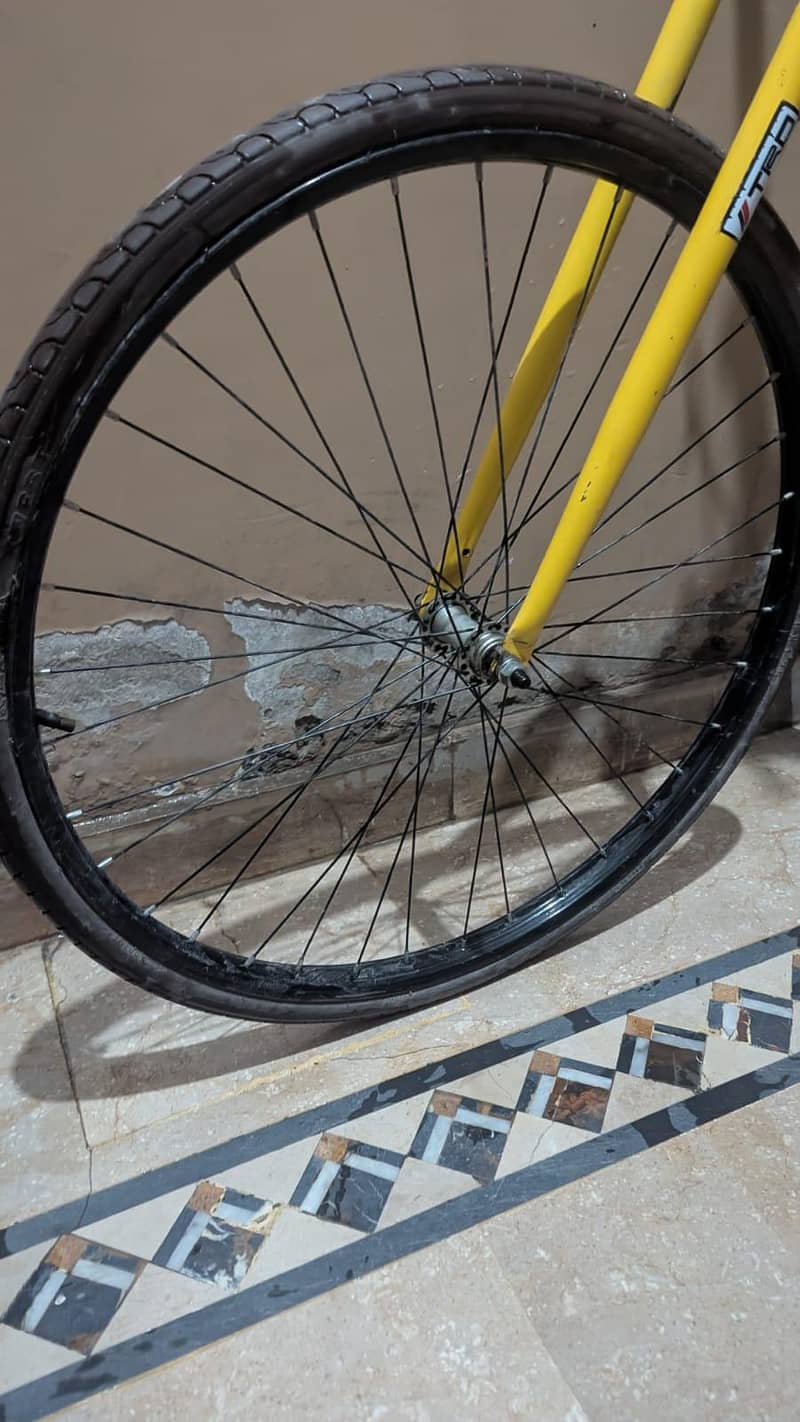 phoenix bicycle 7