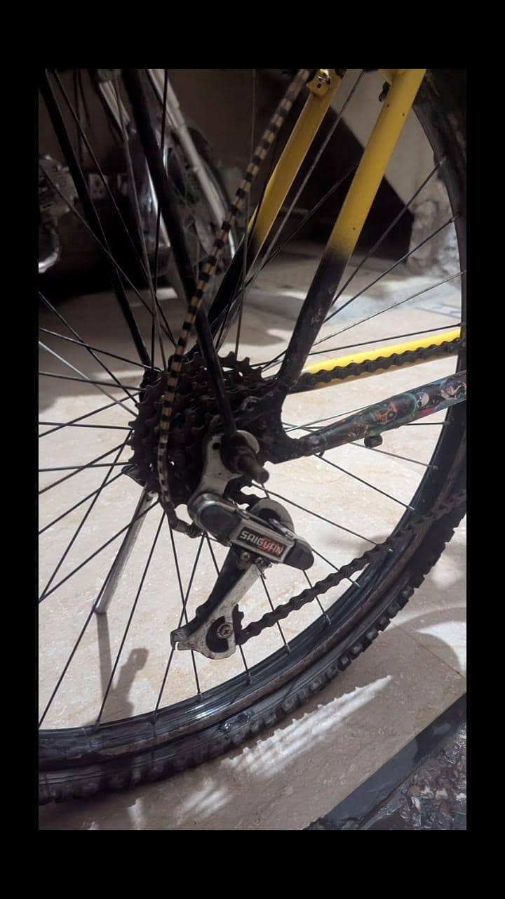 phoenix bicycle 8