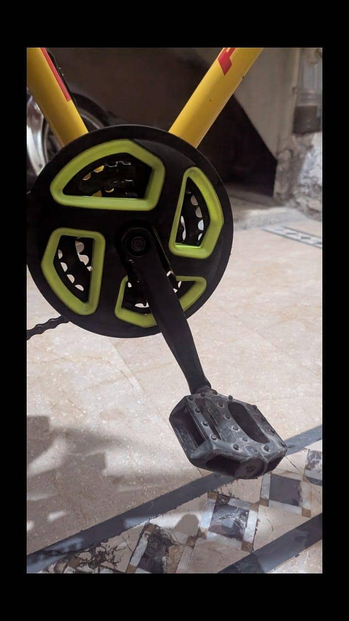 phoenix bicycle 10