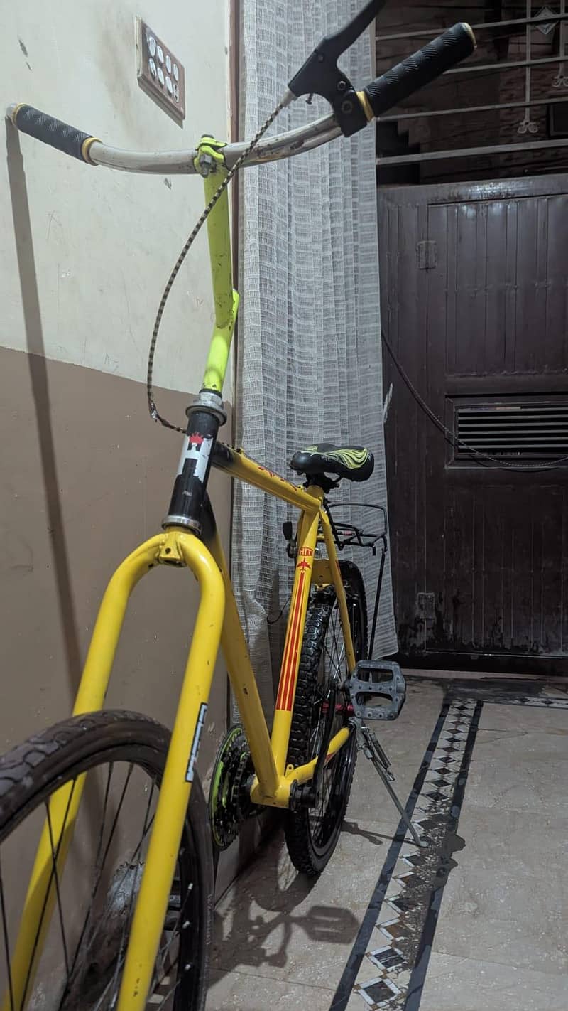 phoenix bicycle 11