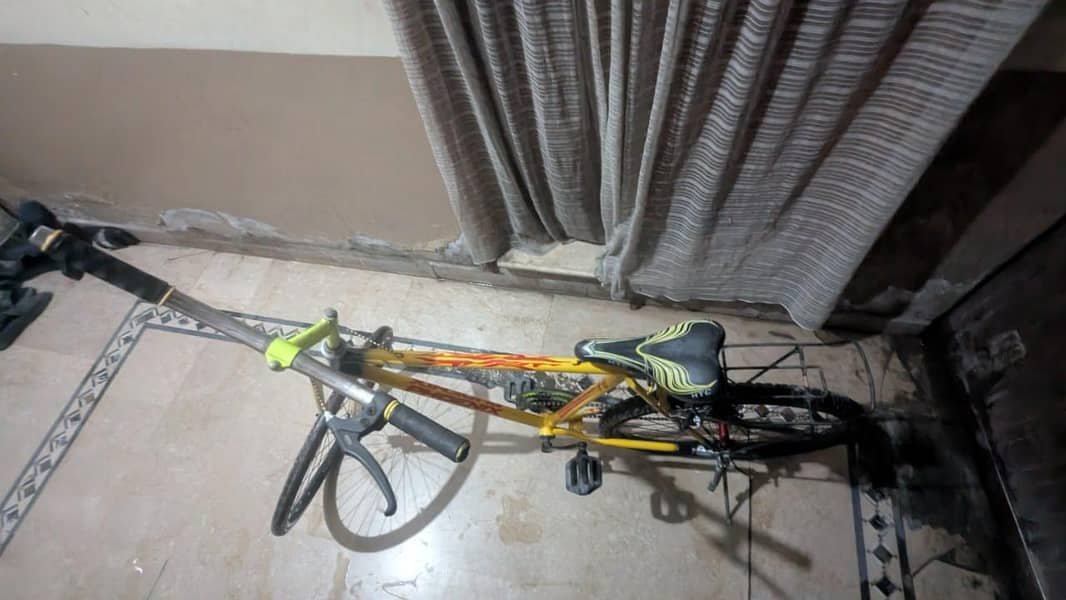 phoenix bicycle 12