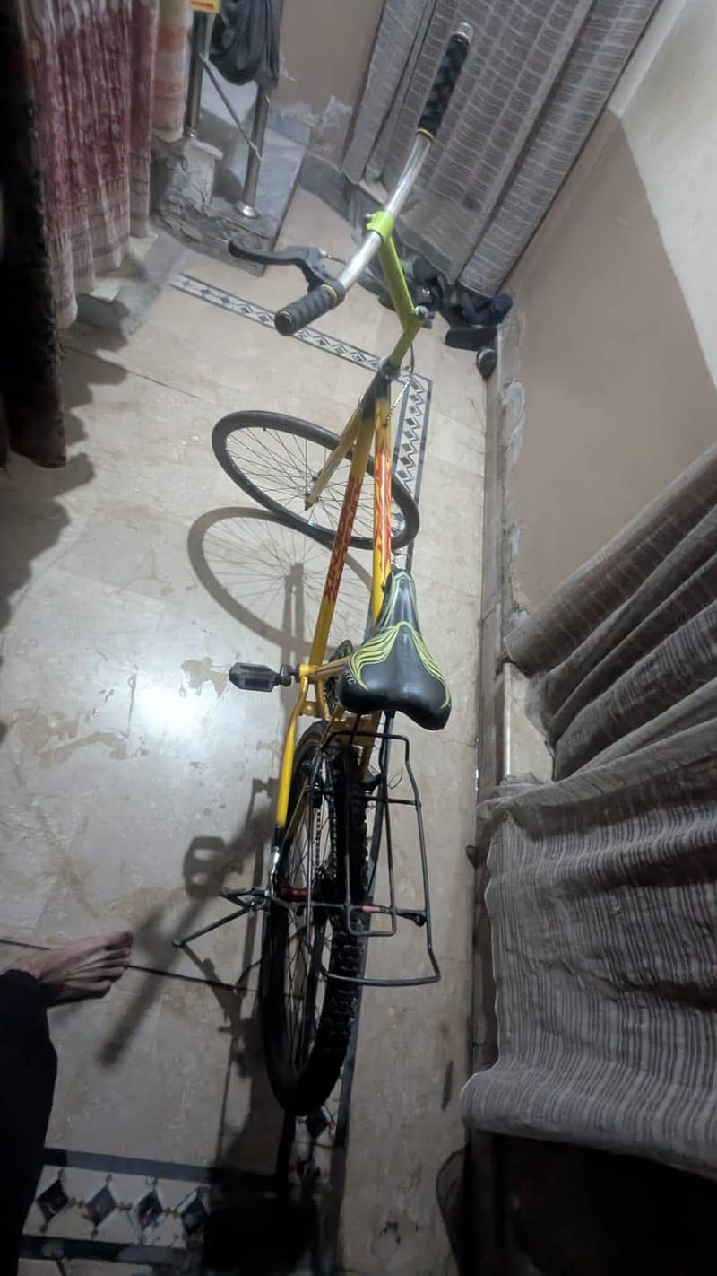 phoenix bicycle 13