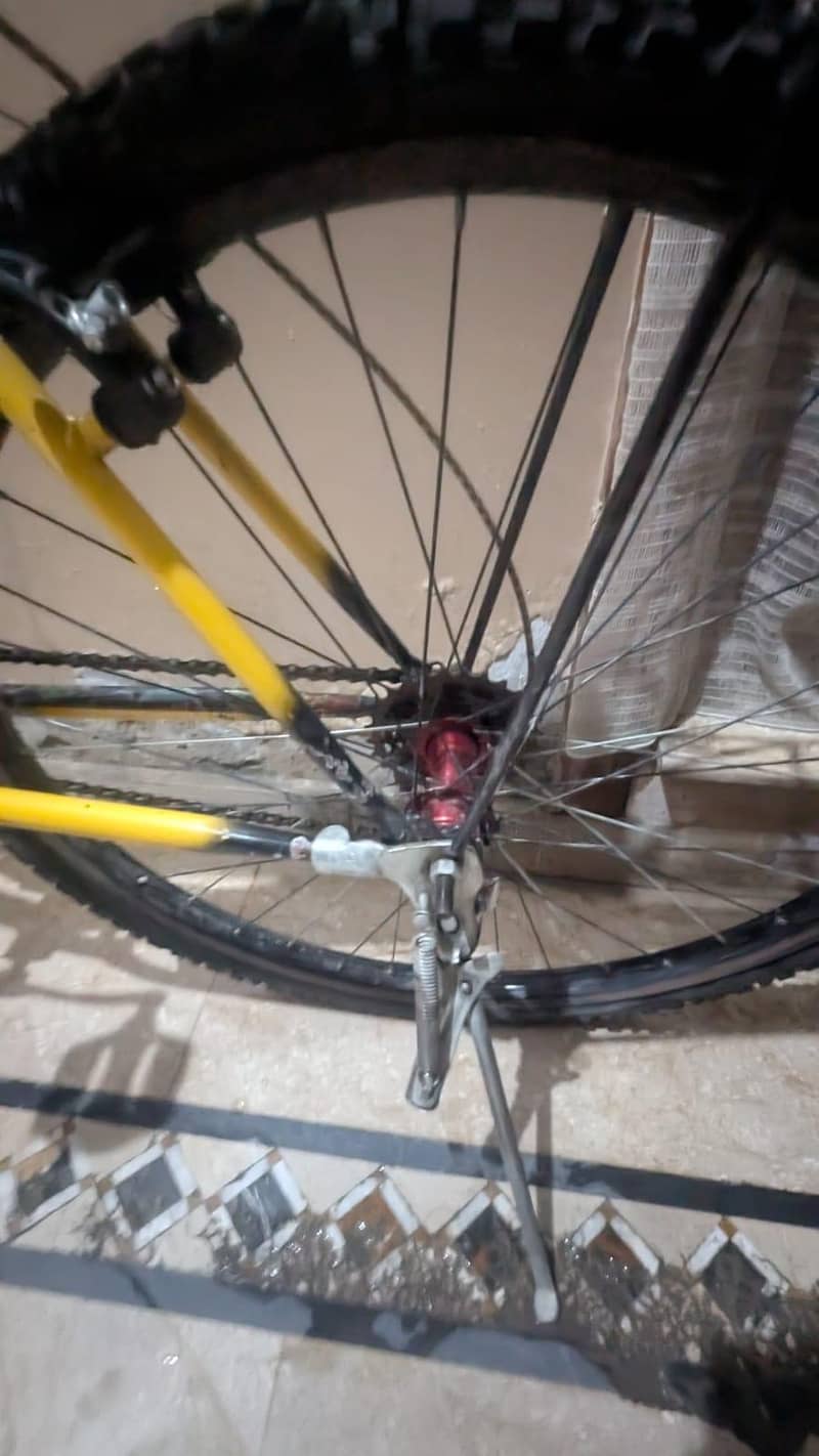 phoenix bicycle 18