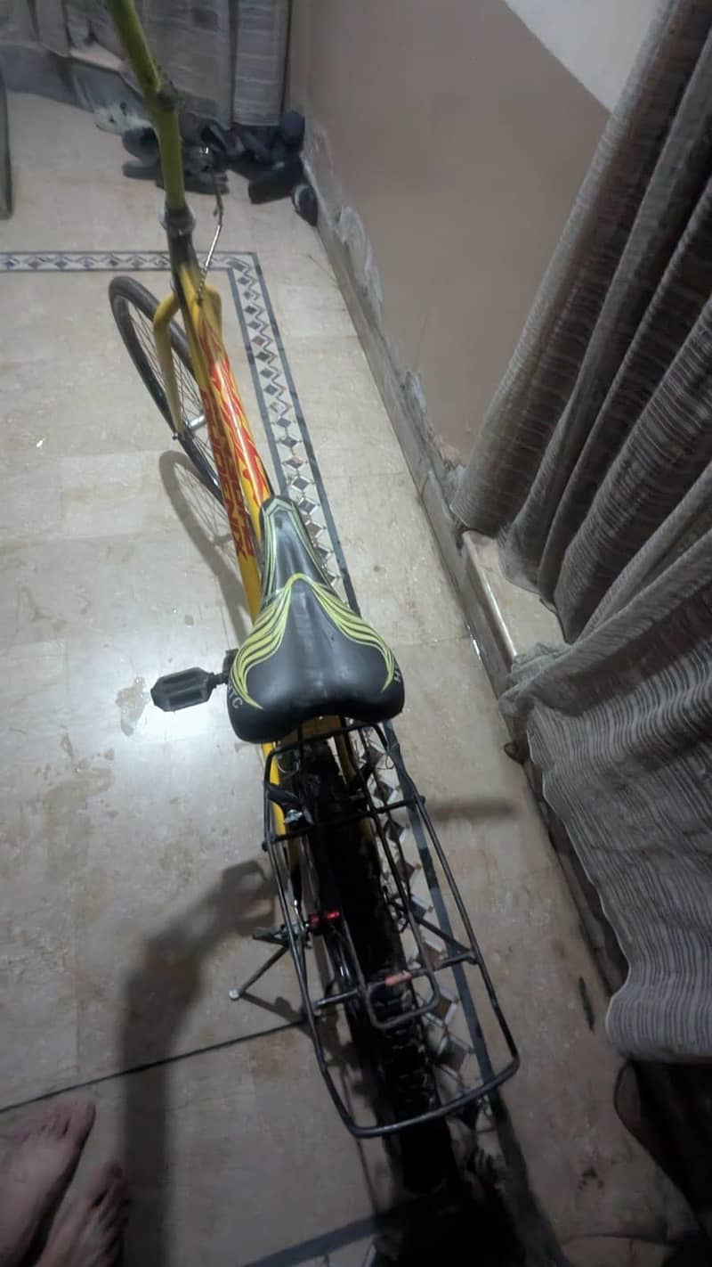 phoenix bicycle 19