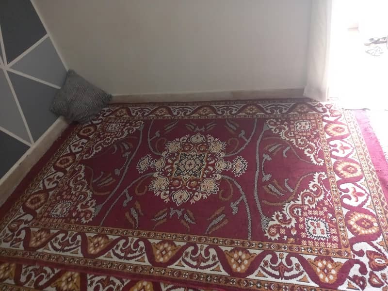 Floor Carpet 0