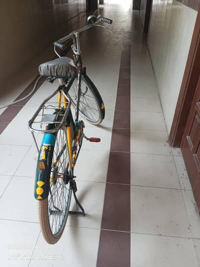 china cycle