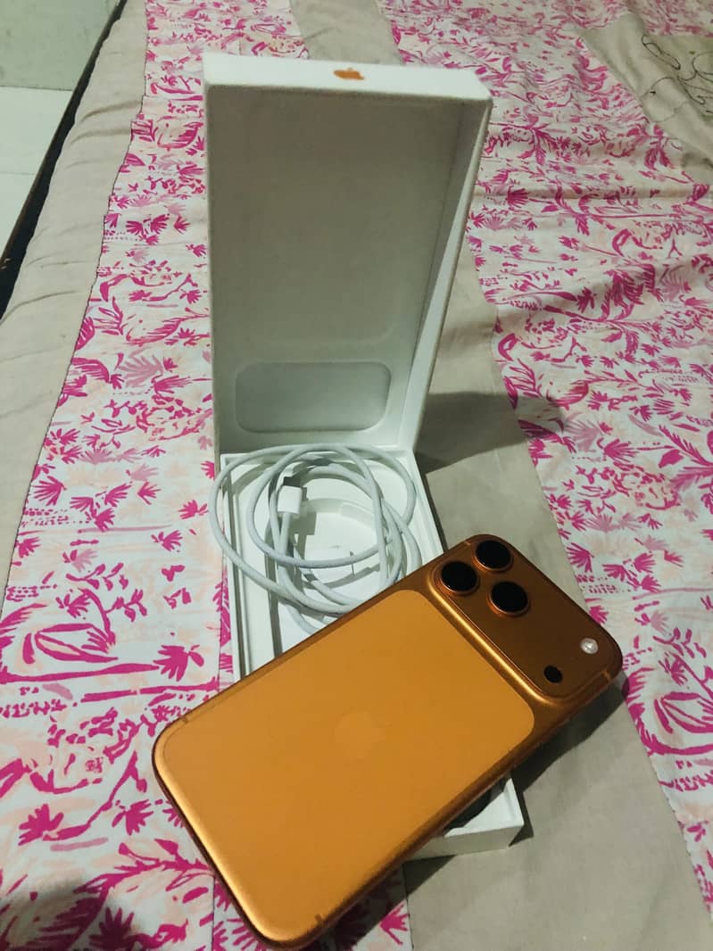 Apple iPhone 17 Pro Max 1