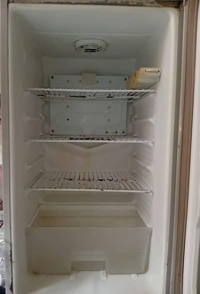chance fridge