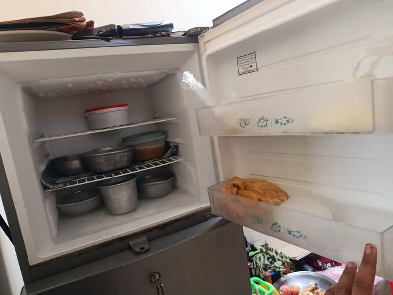 fridge 2
