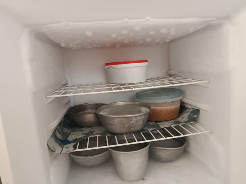 fridge 3