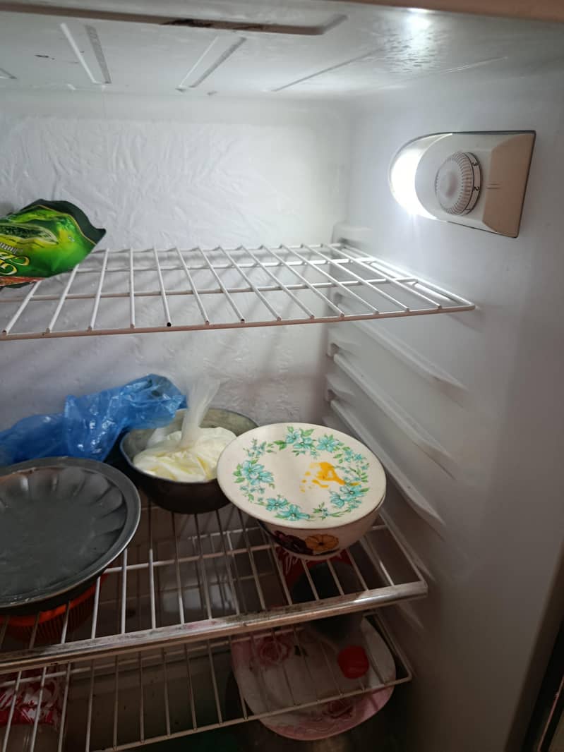 fridge 6