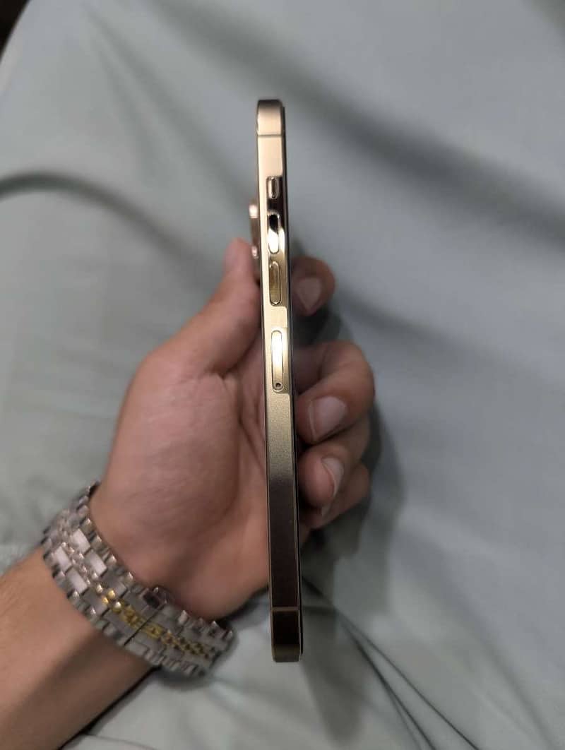 iPhone 13 Pro Max Jv 1