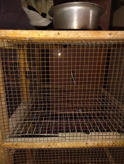 "Hen Cage", "Aseel Murghiyon ka Khuda", ya "Poultry Cage"