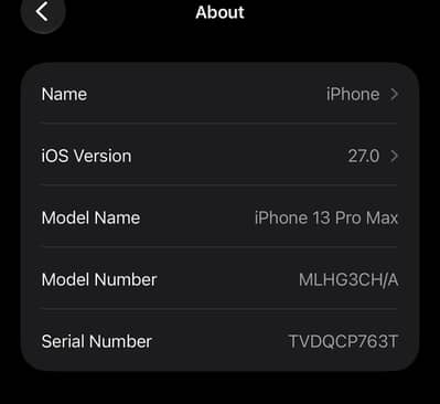 Apple iPhone 13 Pro Max