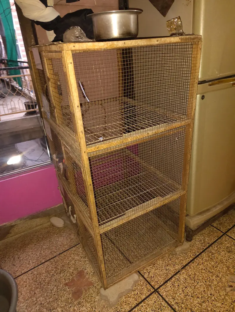 "Hen Cage", "Aseel Murghiyon ka Khuda", ya "Poultry Cage" — photo 5