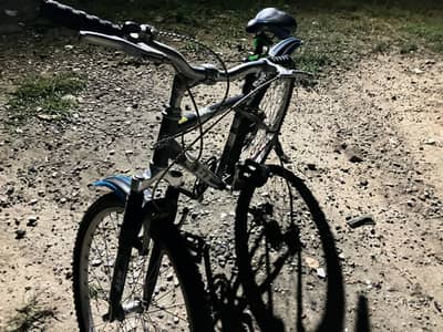 Japanese cycle