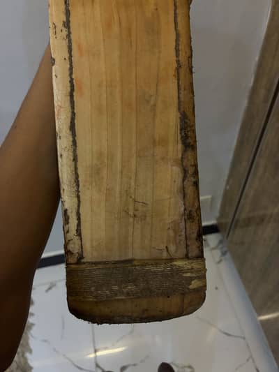 Real English willow bat MRF