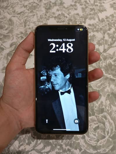 IPhone XS Max Converted 12 pro max 256 Gb Fu