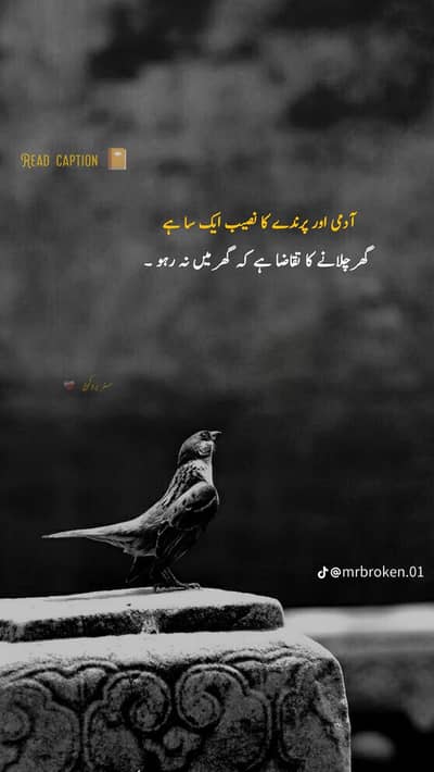 mjy part time job chaye