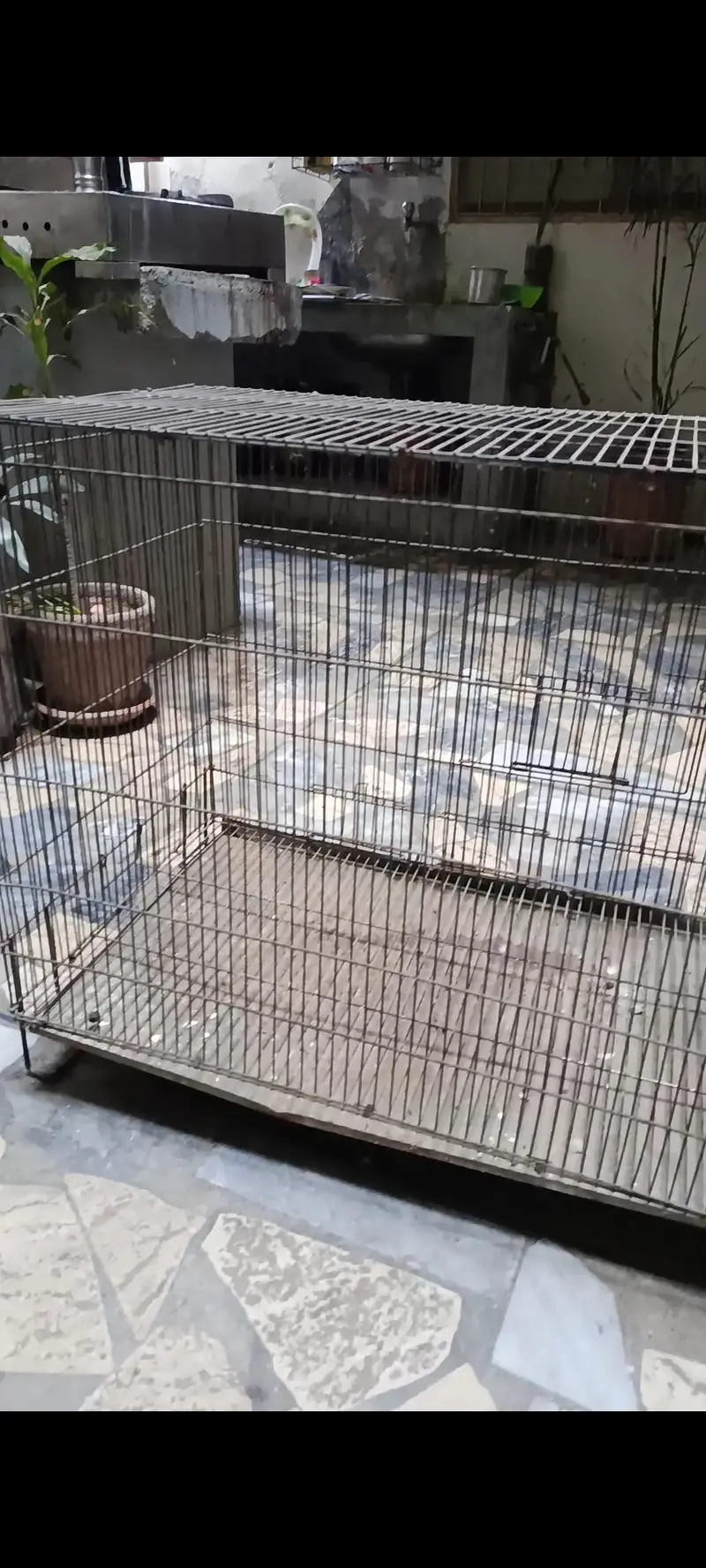 Cage for animals — photo 3