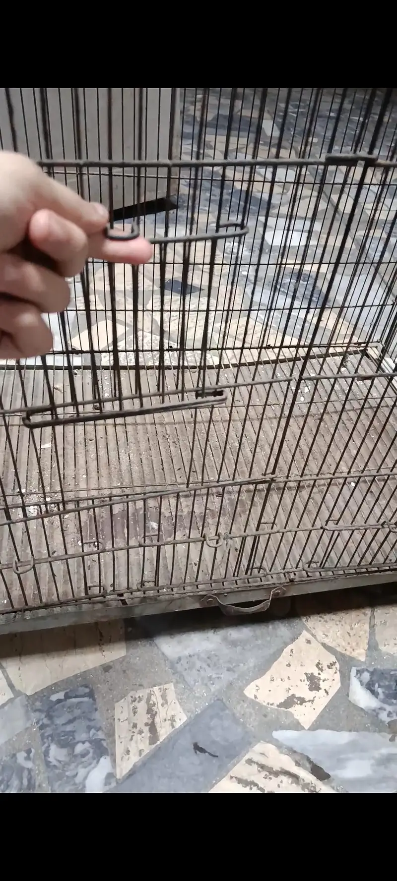 Cage for animals — photo 4