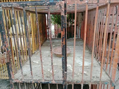 urgent sale ha
