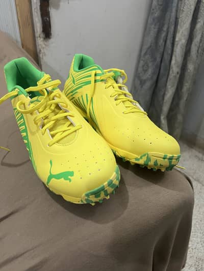 Puma one8 Cricket Gripper Shows