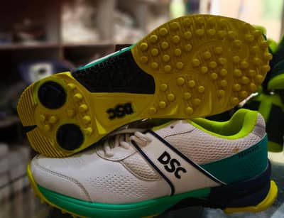 gripper shoes