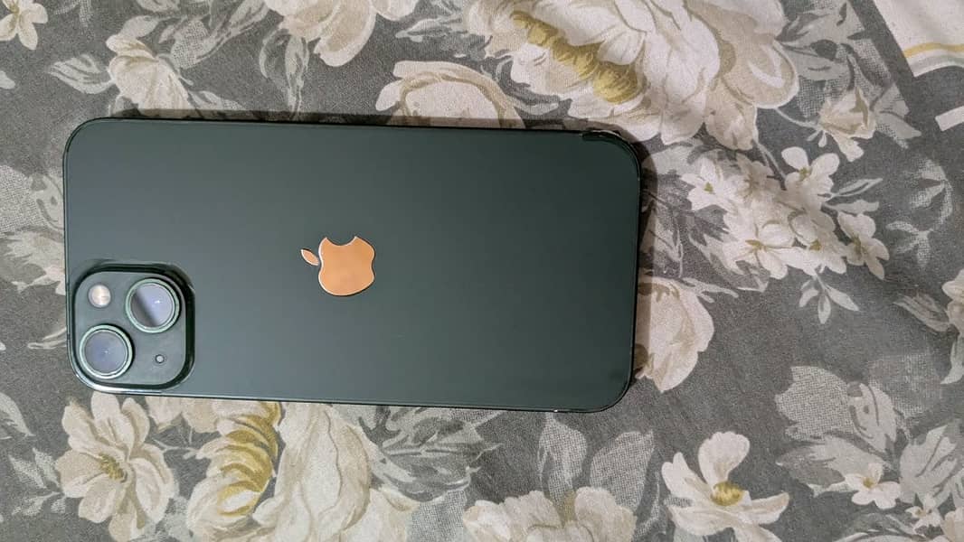 Apple iPhone 13 0